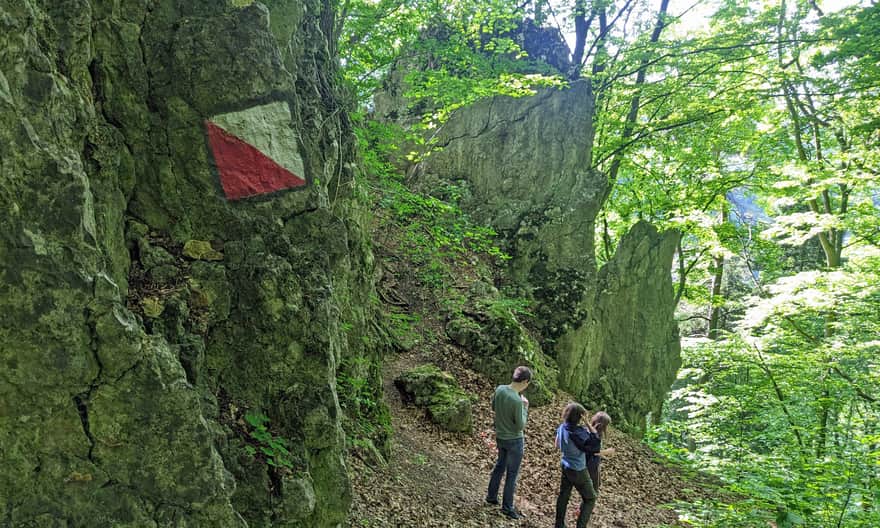 Ze Smardzowic do Doliny Prądnika i Ojcowa