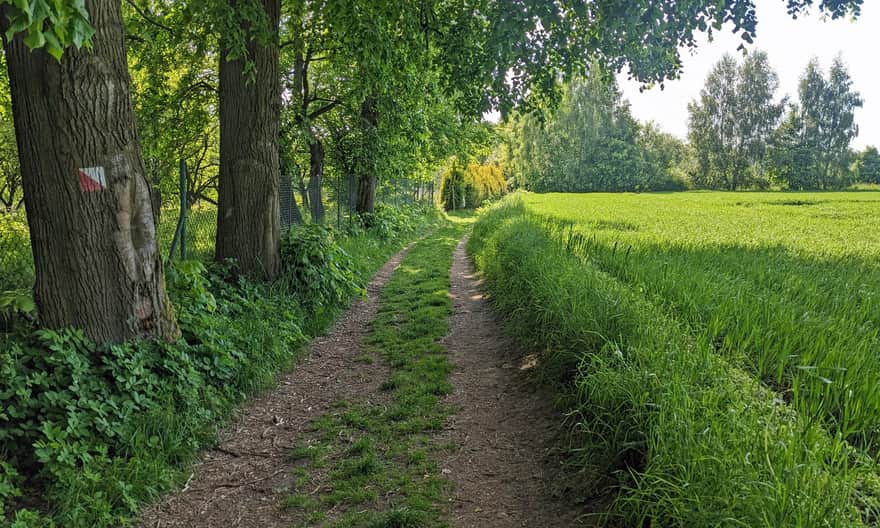 Ze Smardzowic do Doliny Prądnika i Ojcowa