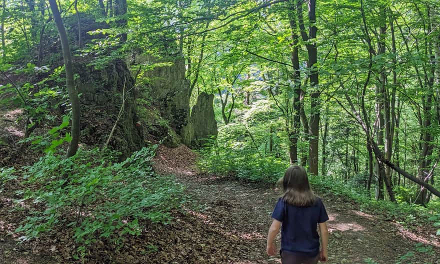 Ze Smardzowic do Doliny Prądnika i Ojcowa