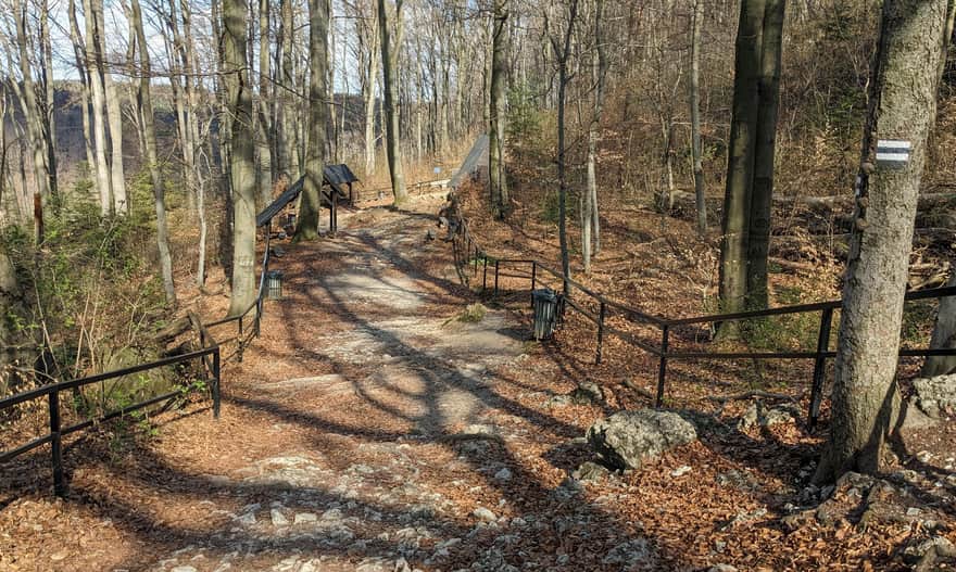 Czarny szlak z Ojcowa do Groty Łokietka