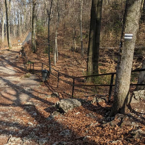 Z Ojcowa do Groty Łokietka: czarny szlak