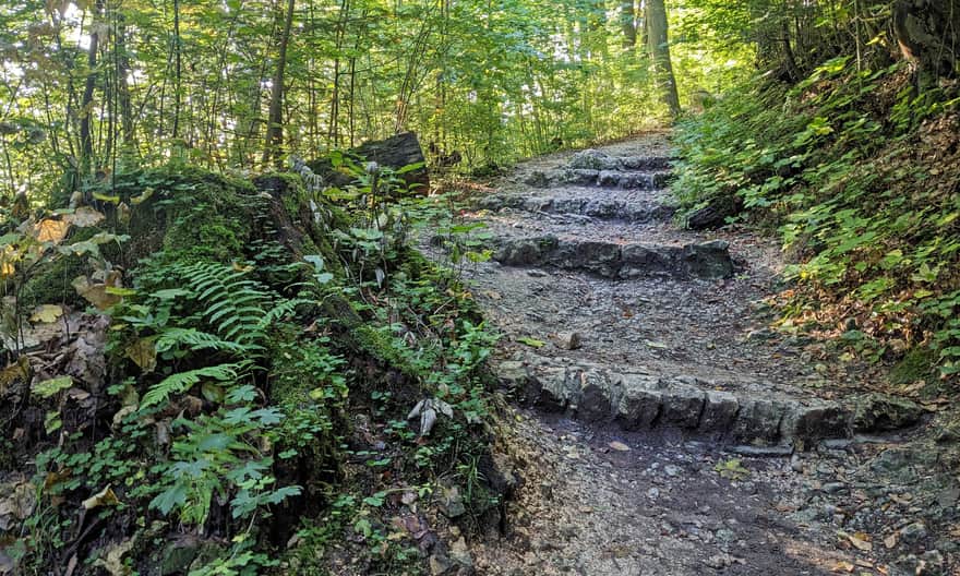 Czarny szlak Ojców - Grota Łokietka