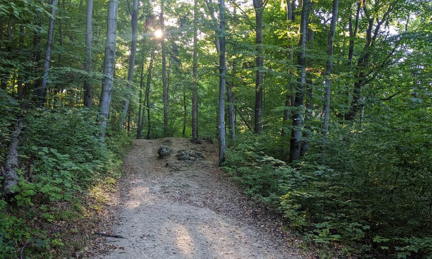 Czarny szlak z Ojcowa do Groty Łokietka