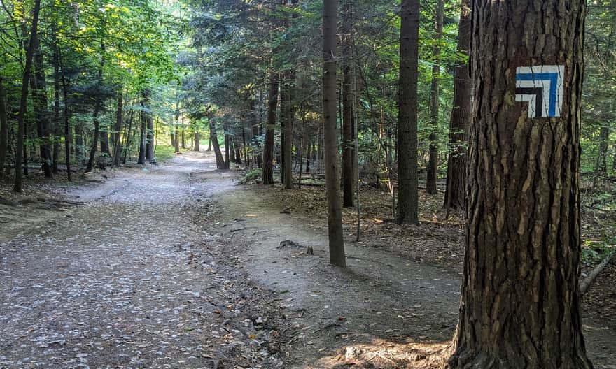 Czarny szlak z Ojcowa do Groty Łokietka