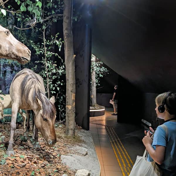 Ośrodek Edukacyjno-Muzealny RPN