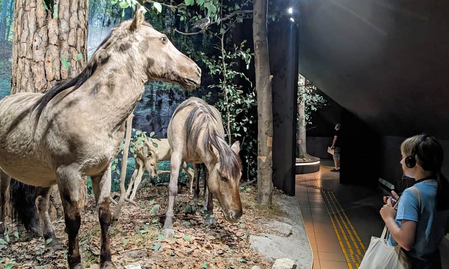 Ośrodek Edukacyjno-Muzealny Roztoczańskiego Parku Narodowego w Zwierzyńcu