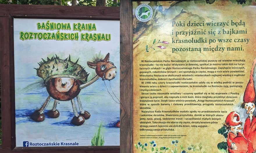 Domki Krasnoludków w Zwierzyńcu na terenie Ośrodka Edukacyjno - Muzealnego RPN w Zwierzyńcu