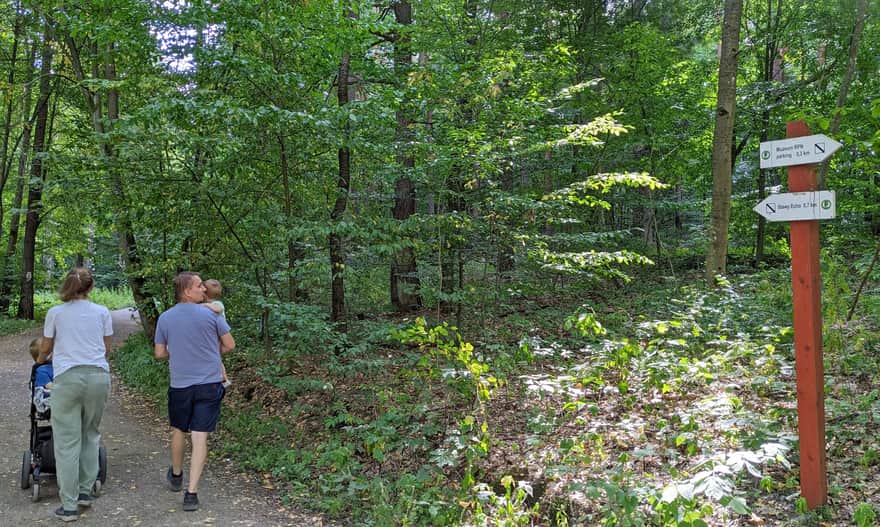 Jak dojść ze Zwierzyńca do Stawów Echo?