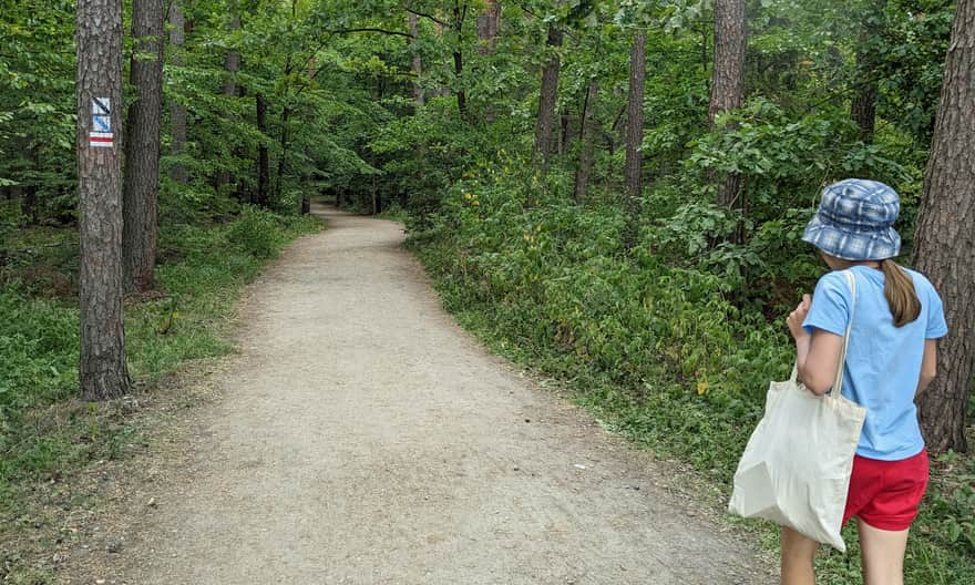 Najłatwiejsza droga ze Zwierzyńca do Stawów Echo