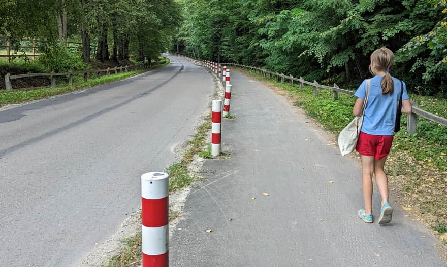 Pas pieszo-rowerowy wzdłuż ul. Plażowej i Stawów Echo w Zwierzyńcu