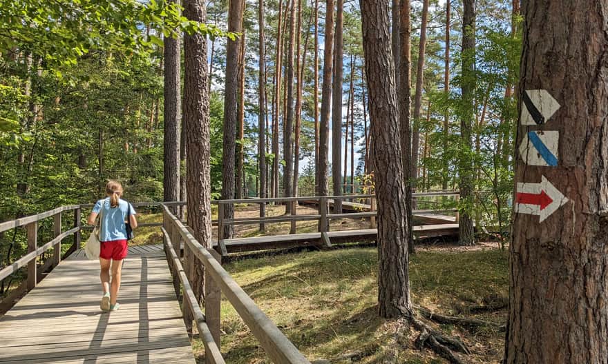 Jak dojść ze Zwierzyńca do Stawów Echo?
