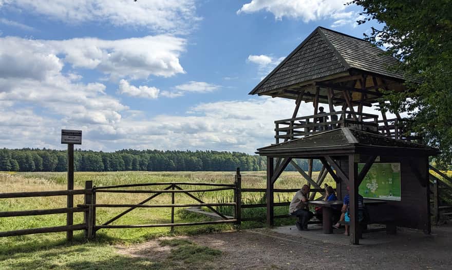 Wieża widokowa nad Stawami Echo w Zwierzyńcu