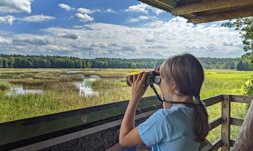 Widok na Stawy Echo z wieży widokowej
