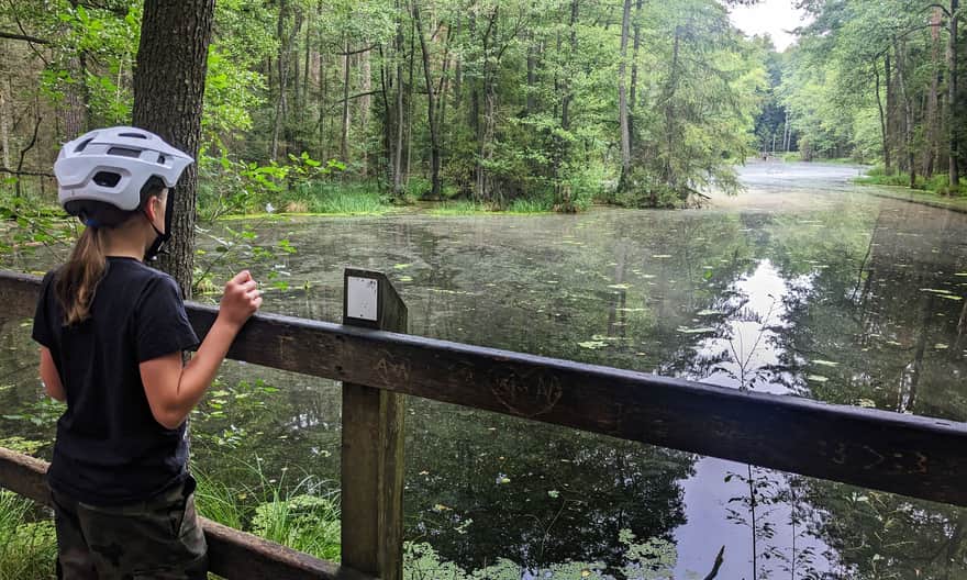 Wycieczka ze Zwierzyńca do Czarnego Stawu