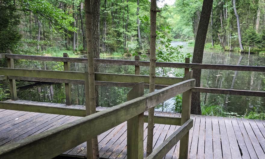 Czarny Staw, Zwierzyniec. Roztoczański Park Narodowy