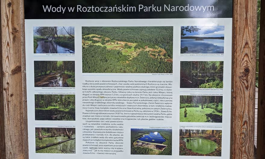 Czarny Staw, Zwierzyniec. Roztoczański Park Narodowy