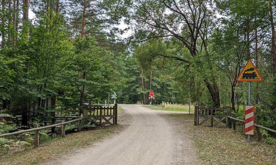 Leśna droga Zwierzyniec - Czarny Staw - Florianka - Górecko Stare. Przejazd kolejowy