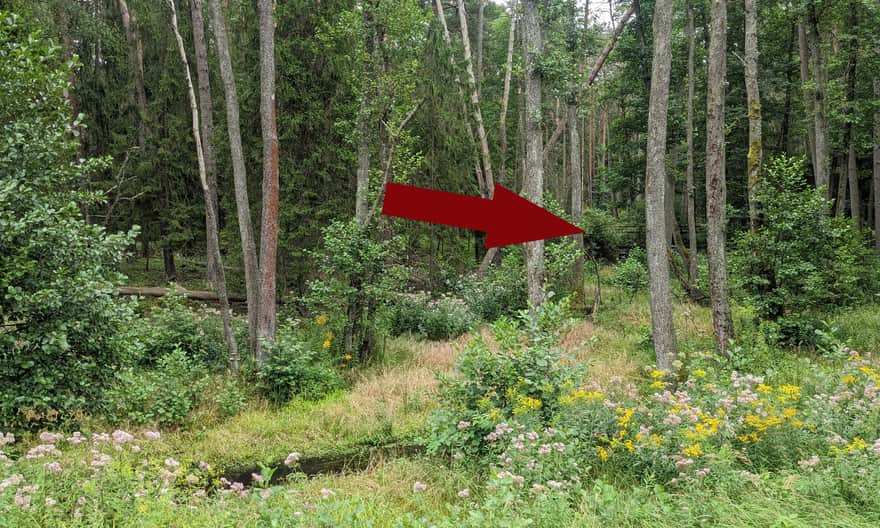 Leśna droga Zwierzyniec - Czarny Staw - Florianka - Górecko Stare. Słabo widoczny tzw. Malowany most