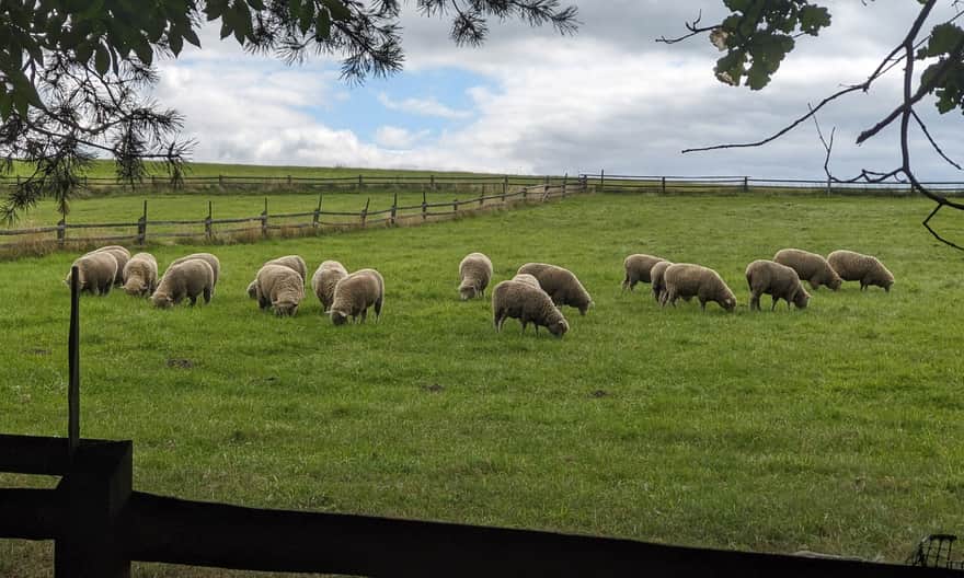 Leśna osada Florianka i gospodarze malowniczych łąk, Roztoczański Park Narodowy