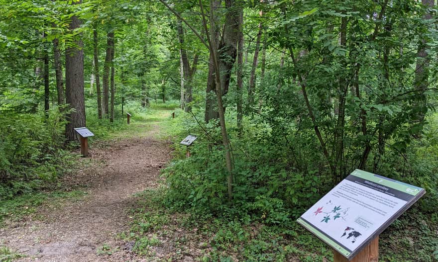 Osada leśna Florianka - ścieżka dendrologiczna