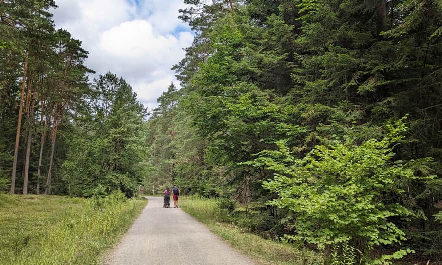 Górecko Stare - Florianka: najkrótsza i najłatwiejsza pieszo-rowerowa droga do osady leśnej 