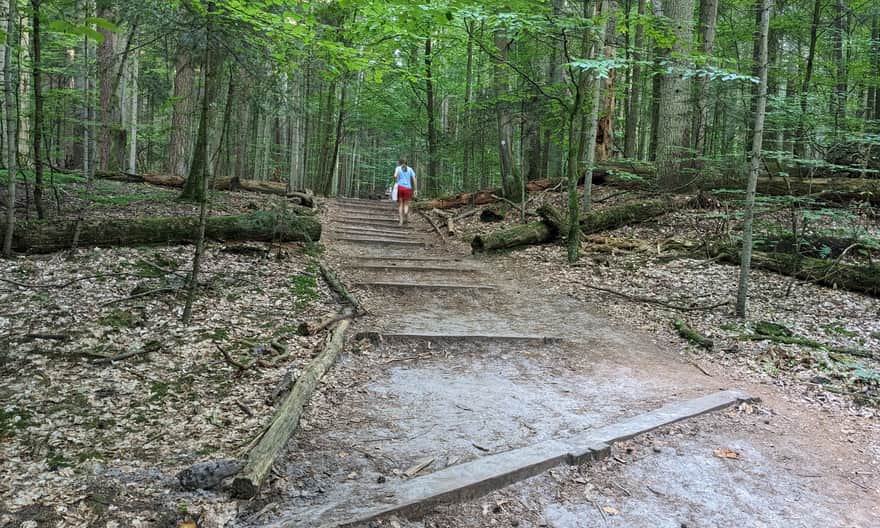 Ze Zwierzyńca na Bukową Górę