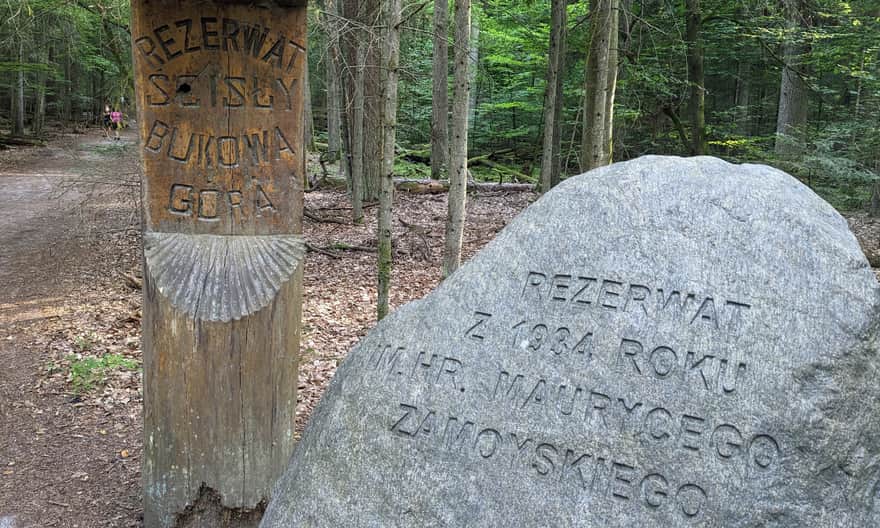 Ze Zwierzyńca na Bukową Górę