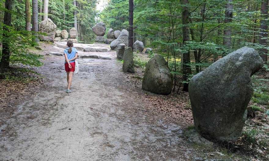 Ze Zwierzyńca na Bukową Górę - Pomnik Pamięci Poległych Leśników