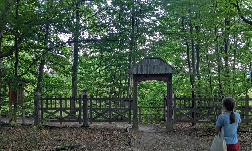 Bukowa Góra - obszar ochrony ścisłej, Roztoczański Park Narodowy