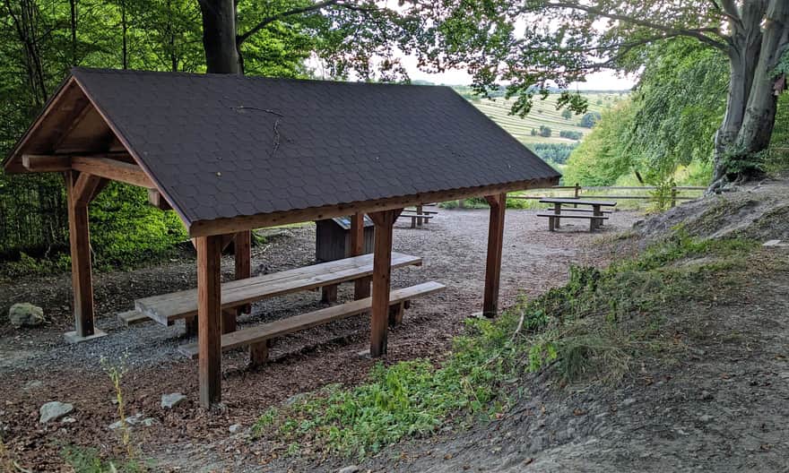 Bukowa Góra - punkt widokowy koło Zwierzyńca