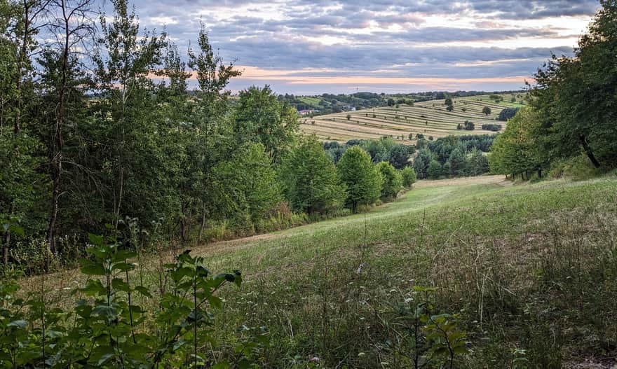 Bukowa Góra - punkt widokowy koło Zwierzyńca