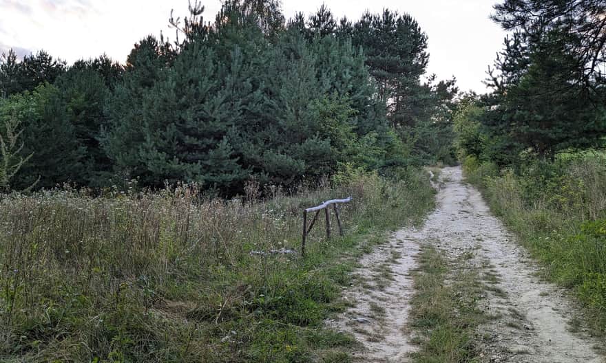 Ścieżka z Soch na Bukową Górę - najłatwiejsza i najkrótsza droga na punkt widokowy