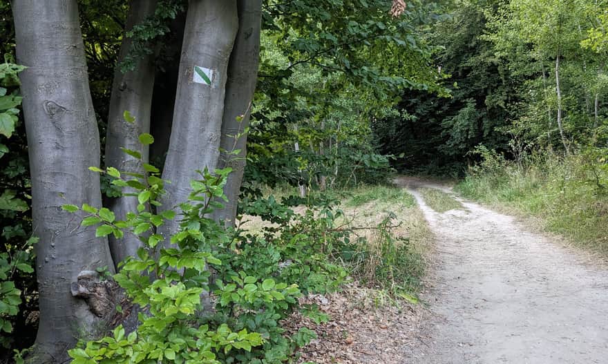 Ścieżka z Soch na Bukową Górę - najłatwiejsza i najkrótsza droga na punkt widokowy