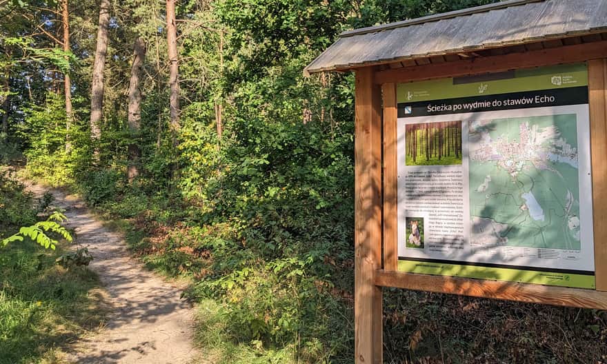 Niebieska ścieżka edukacyjna do Stawów Echo - tzw. "Ścieżka po wydmie"