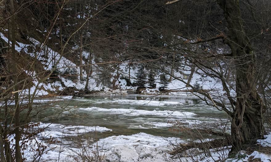 Rzeka Wisłok w Rudawce Rymanowskiej