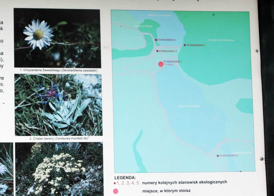 mapa ścieżki przyrodniczo-edukacyjnej