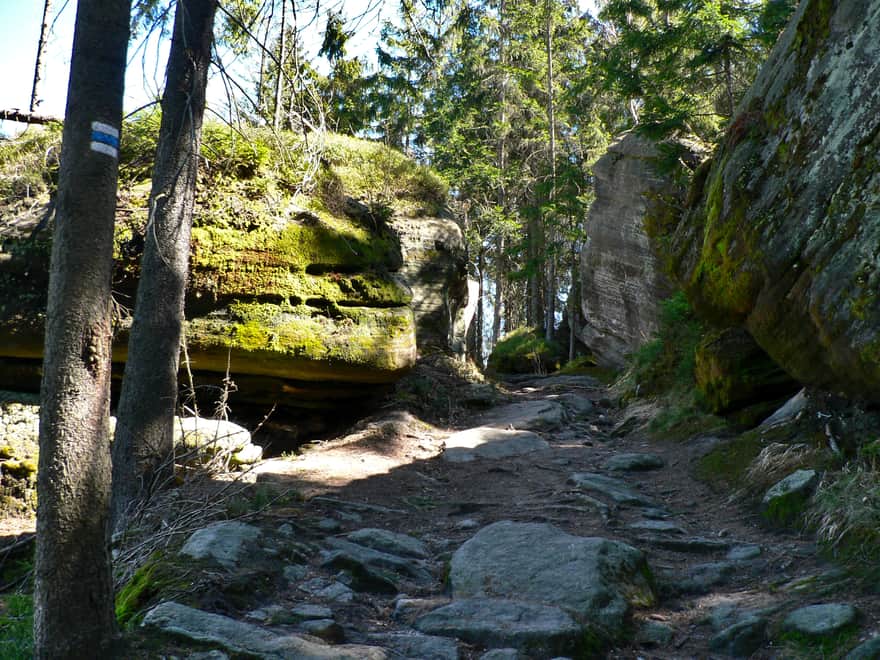 Rock City Teplice nad Metuji - click on the photo to see the description