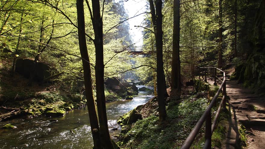 Dolina rzeki Kamienicy Czechy - Czeska Szwajcaria