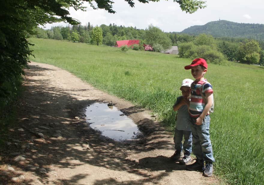 Polana Surówki – widok na Luboń Wielki
