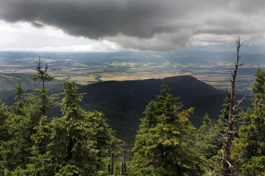 widok z wieży widokowej