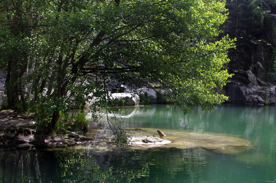 Adrspach: Lake - old sand quarry