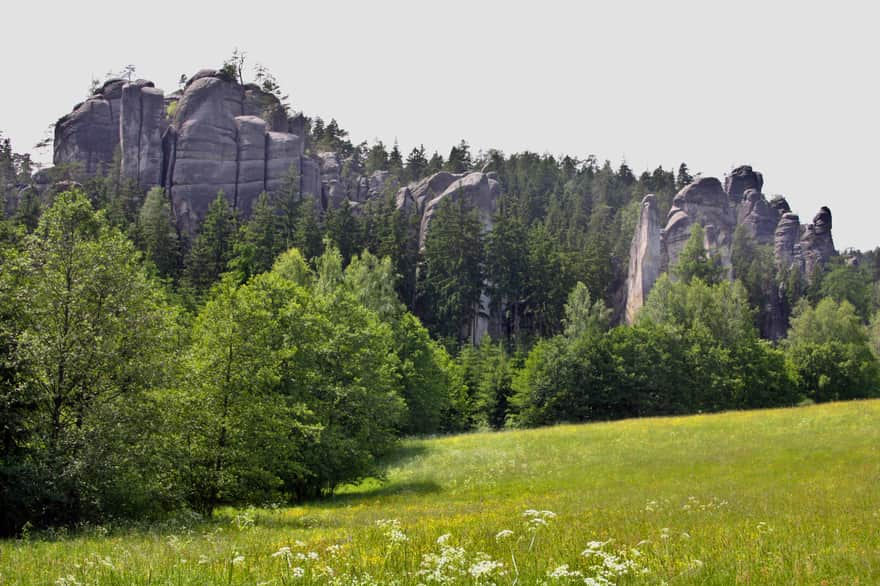 Adrszpaskie Skały: polana pod koniec szlaku