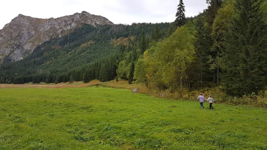 Małołącka Glade