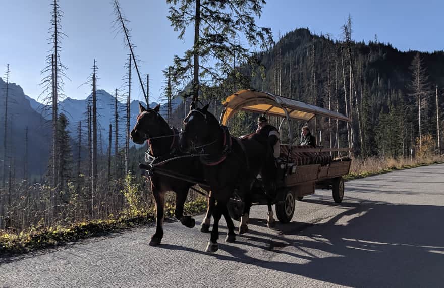 Road to Morskie Oko - horse-drawn carriages