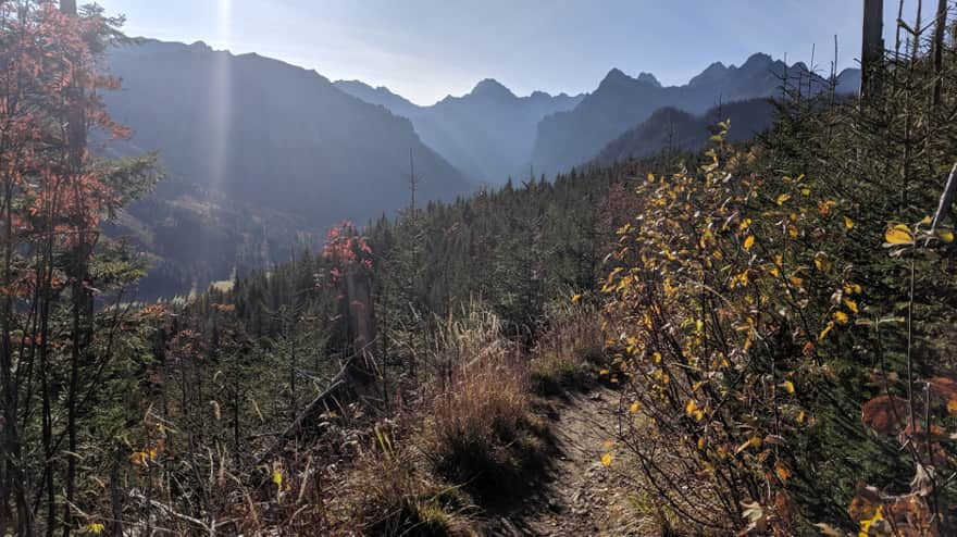 View from the red trail of Biała Woda Valley