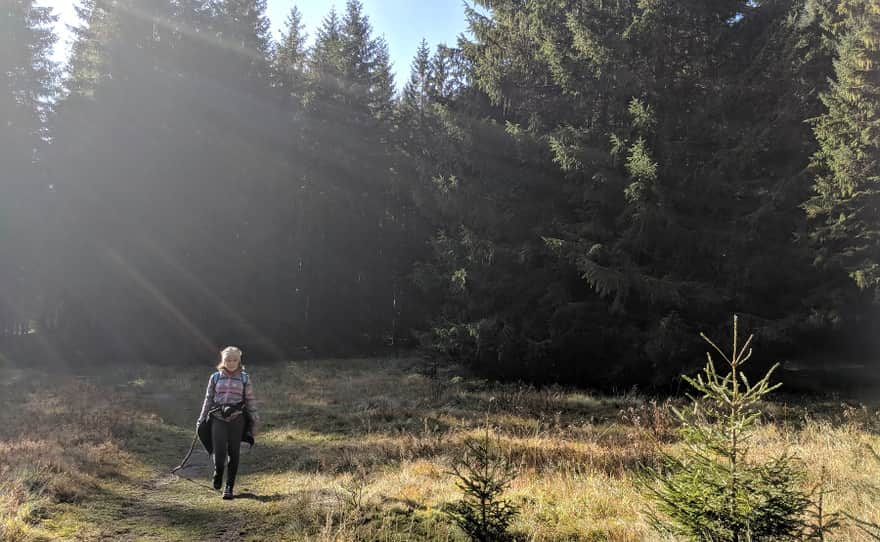 Zejście z Rusinowej Polany do czarnego szlaku