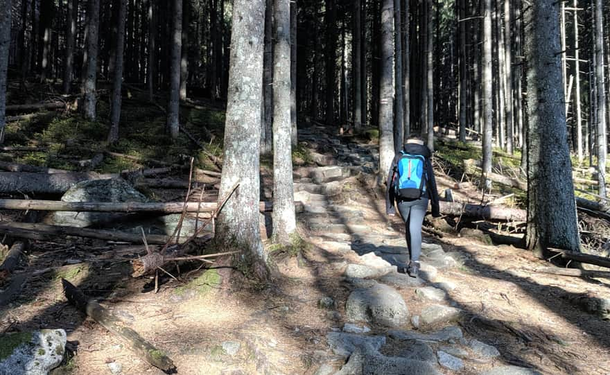 Zejście czerwonym szlakiem do trasy na Morskie Oko