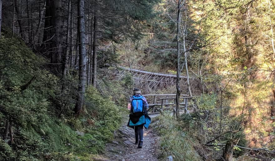 Zejście czerwonym szlakiem do trasy na Morskie Oko